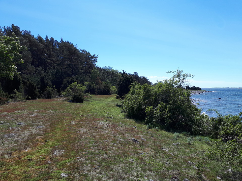 Leden ut mot havet