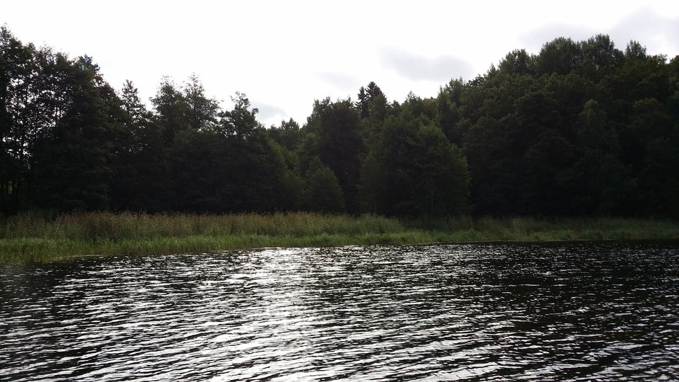 Ekholmsnässjöns sydöstra strand. Foto Lidingö stad