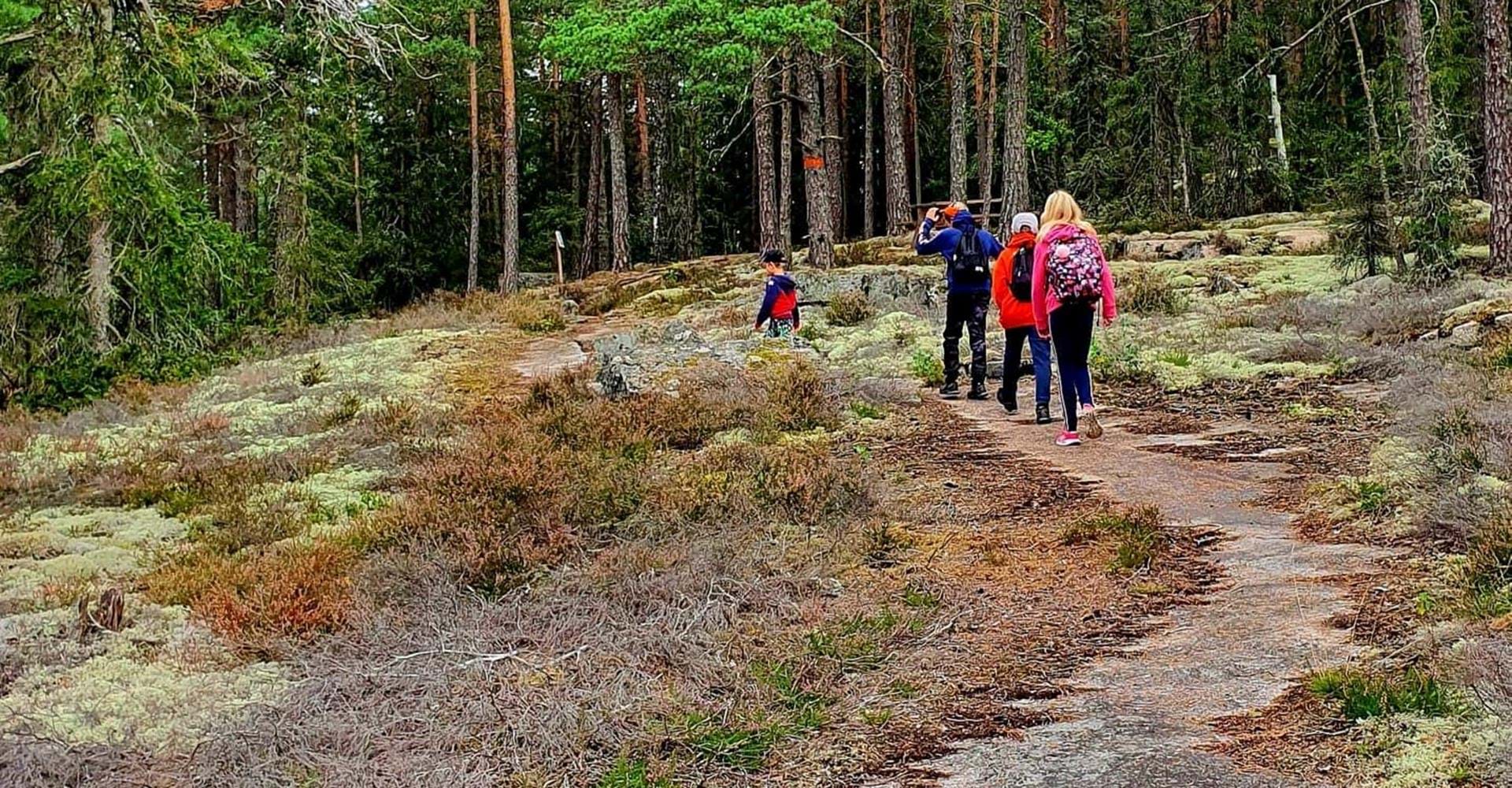Barn vandrar i skog på Seloberg.
Rundslinga: Seloberg och Skams gator.
Ydre.