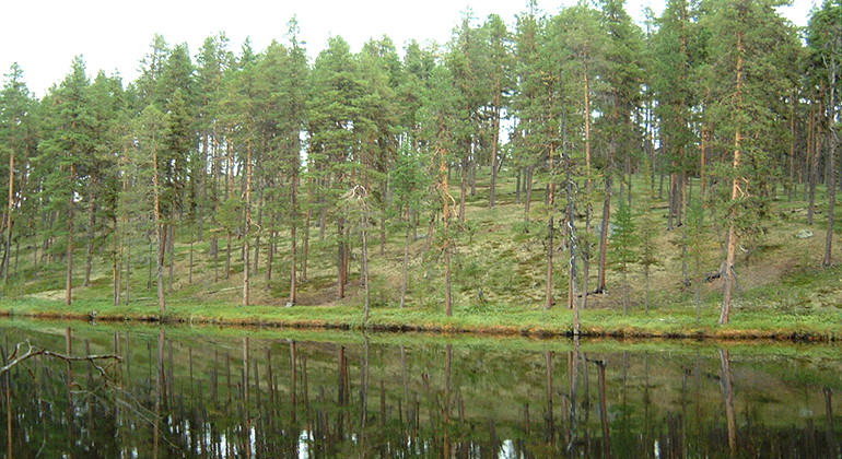 Pärlaudden.