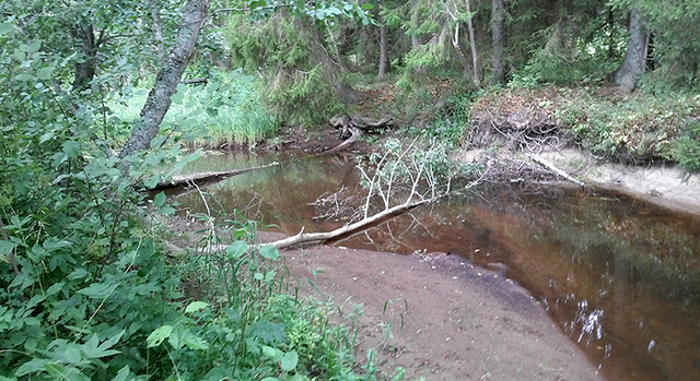 Trösälven, Naturreservat