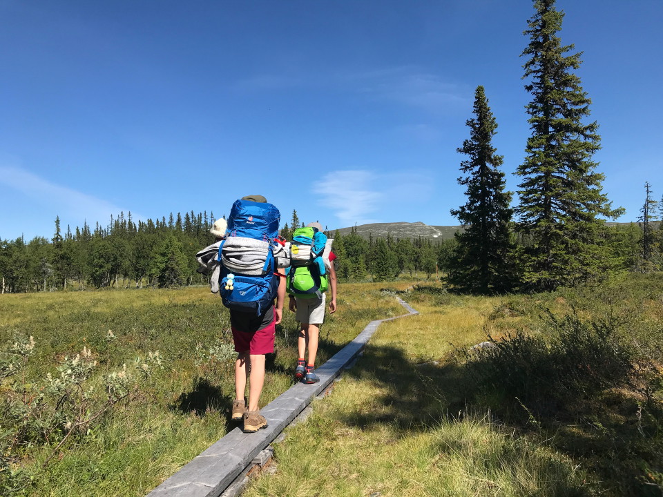 Stig mot Östra Arådalen