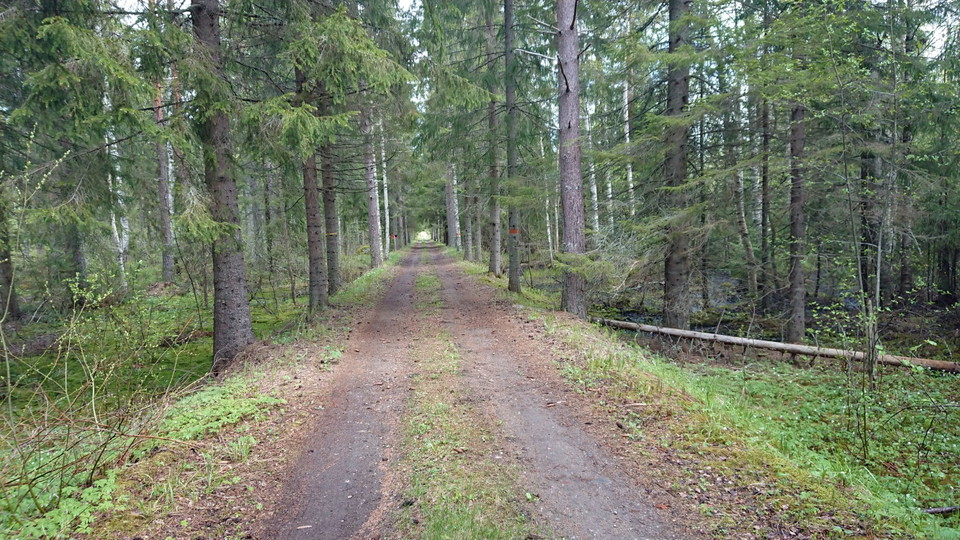 Kråkbanans gamla banvall.