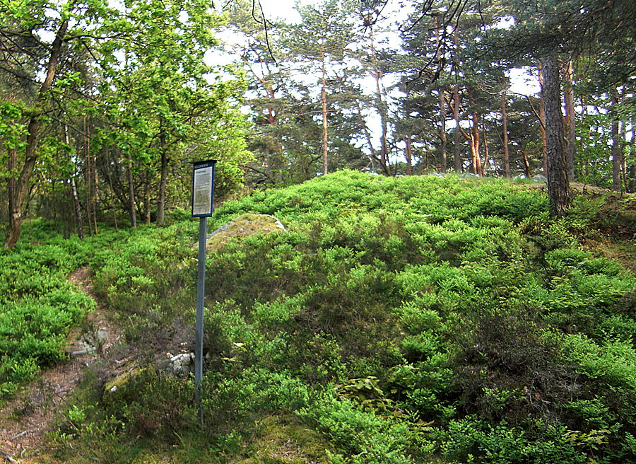 Ruddalen