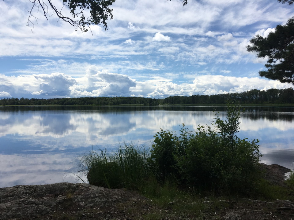 utsikt grillplats östra sidan av sjön.
