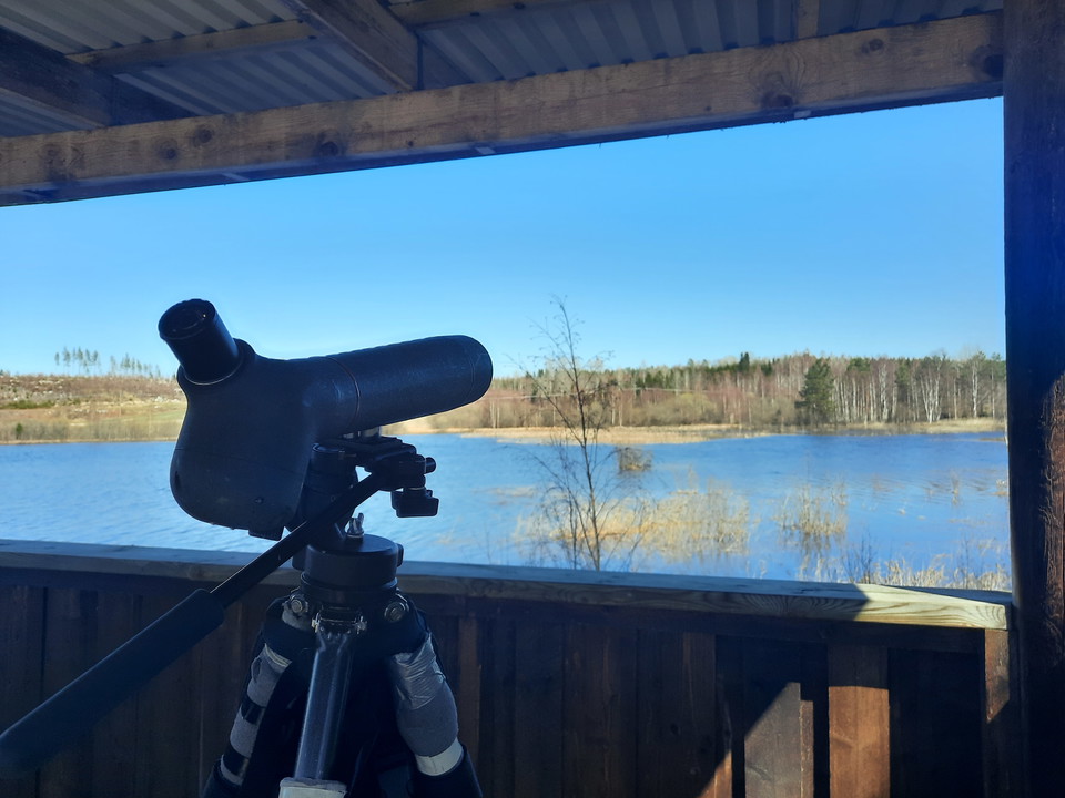 En perfekt plats för lite fågelskådning