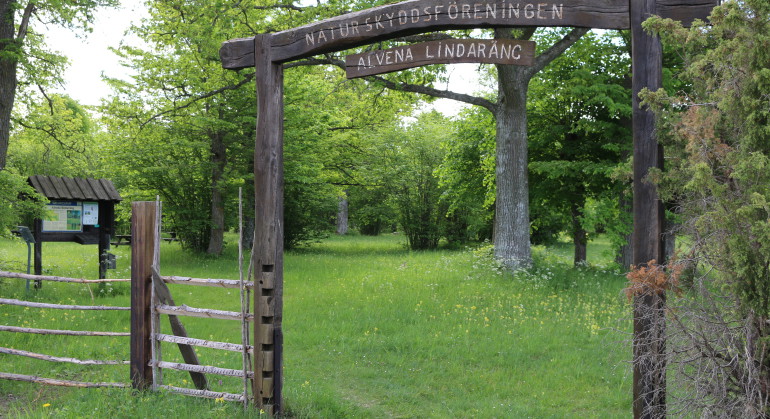 Entrén till Alvena lindaräng.