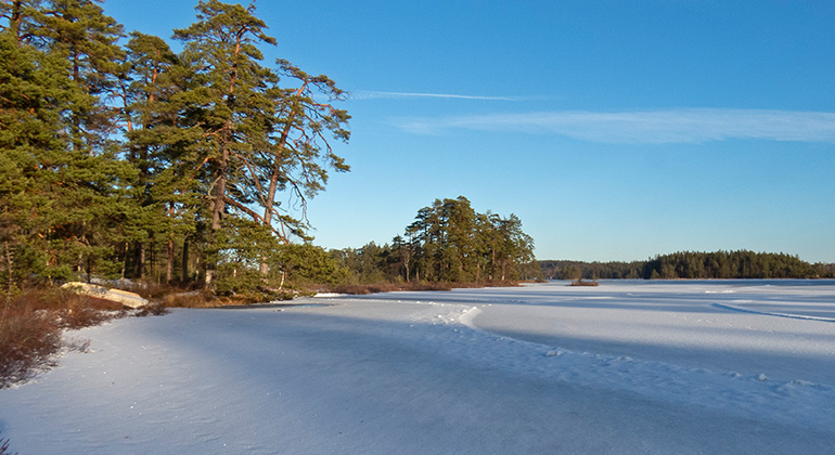 Vintervy med gnistrande vit snö på marken och upplogad is på sjön Vilången. Foto Johan Bohlin.