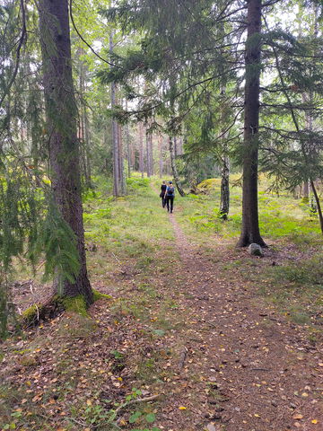 8 km spår i Sjösaskogen