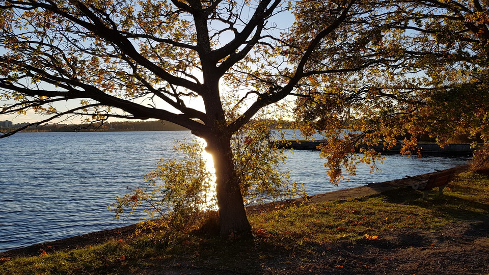 Brygga i Kappsta naturreservat, Foto Lidingö stad