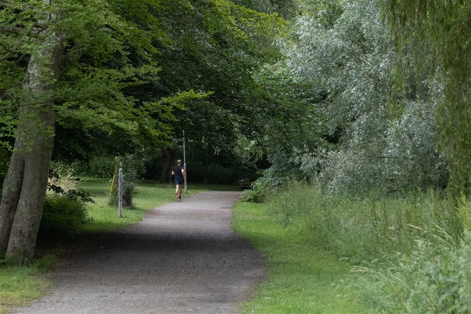 joggare på grusväg i lummig parkmiljö
