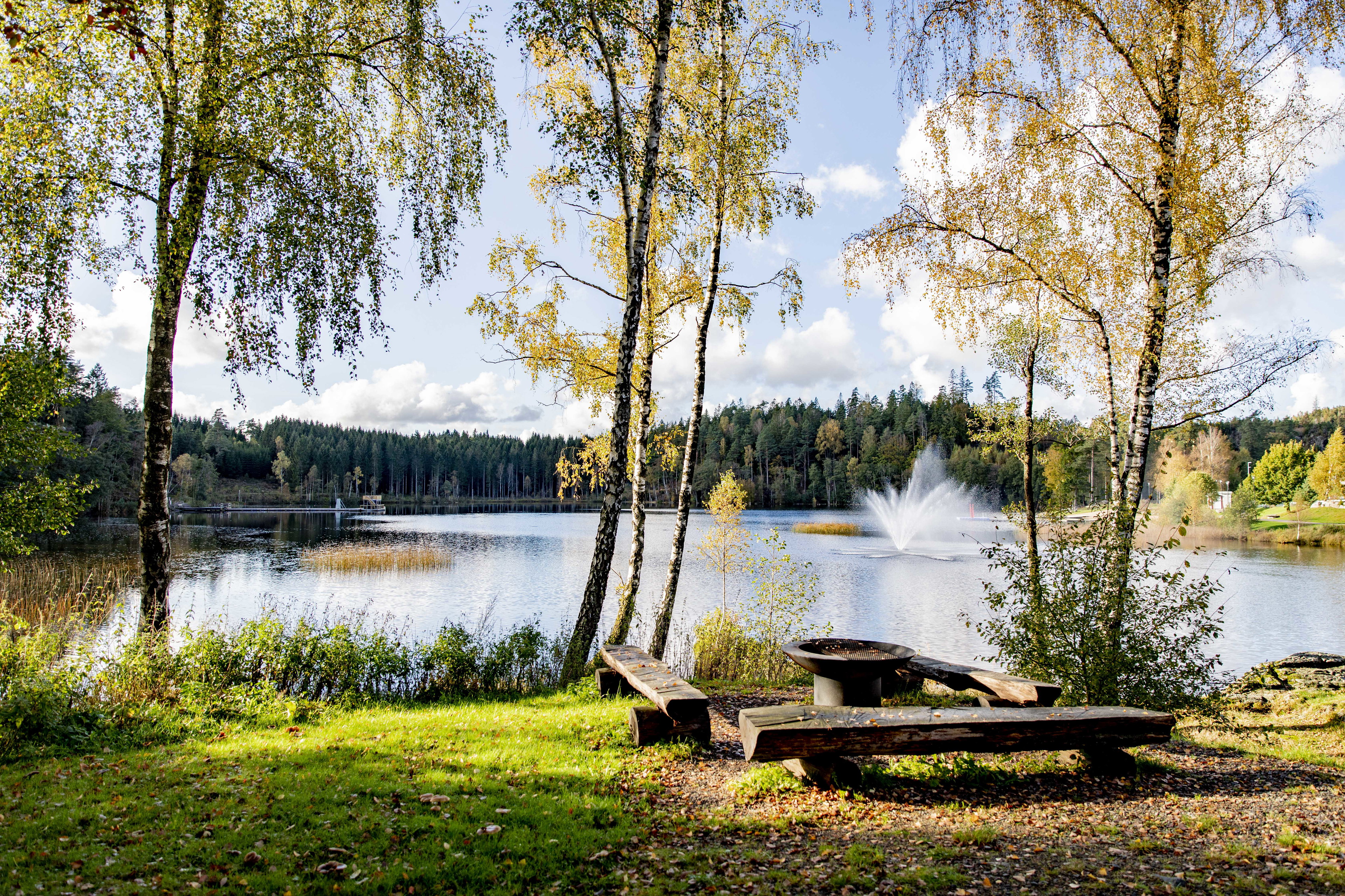 Grillplats, Musasjön