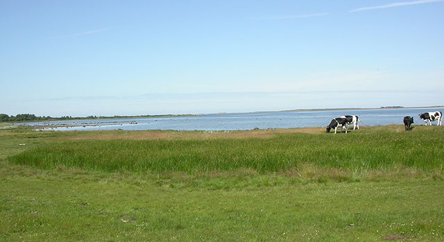 Gamla Varberg och Fyrkullens kustlandskap, Naturreservat