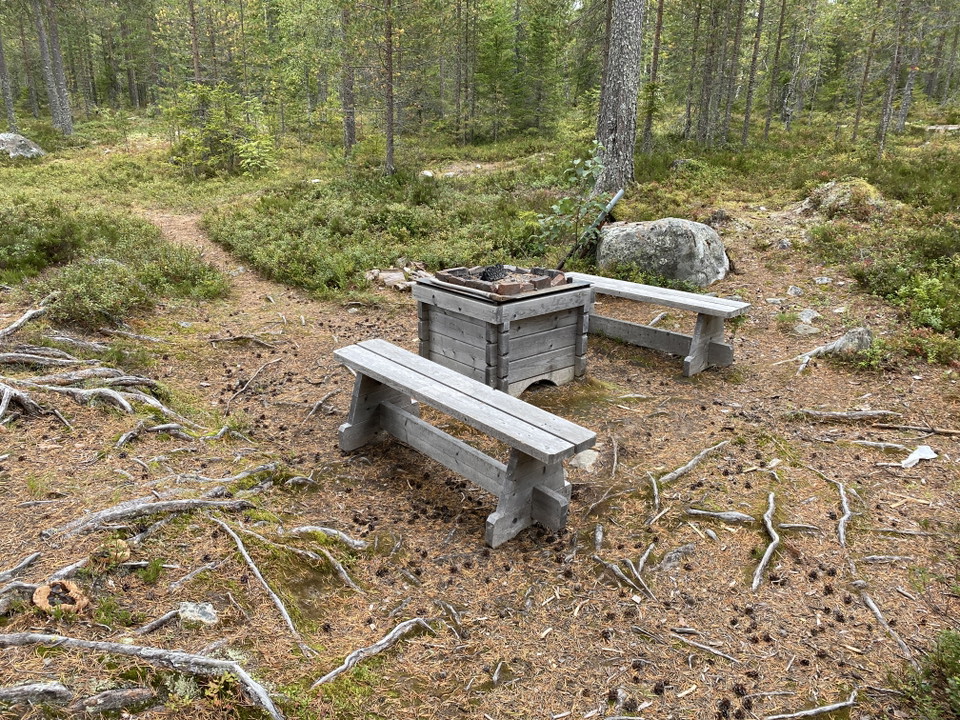 En eldstad med två bänkar i en skog.