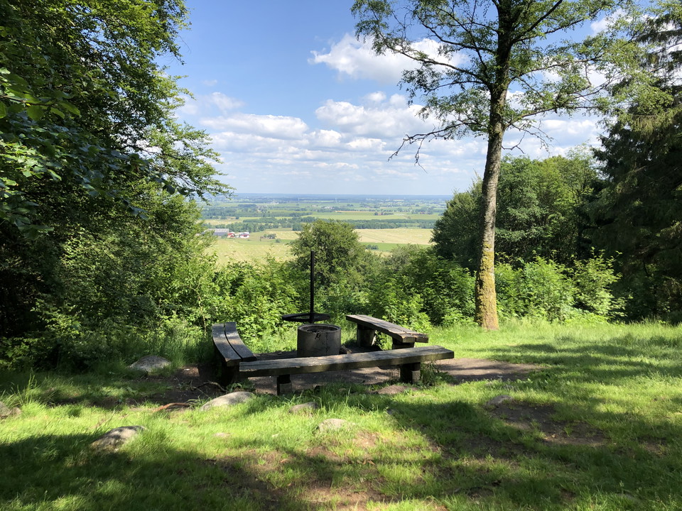 Utsiktsplats Osbecks bokskogar 