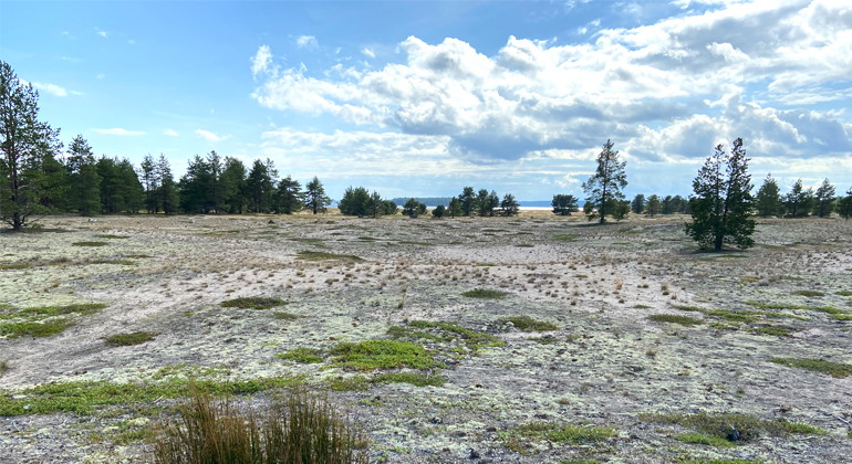 Vy från Sandängesstranden.