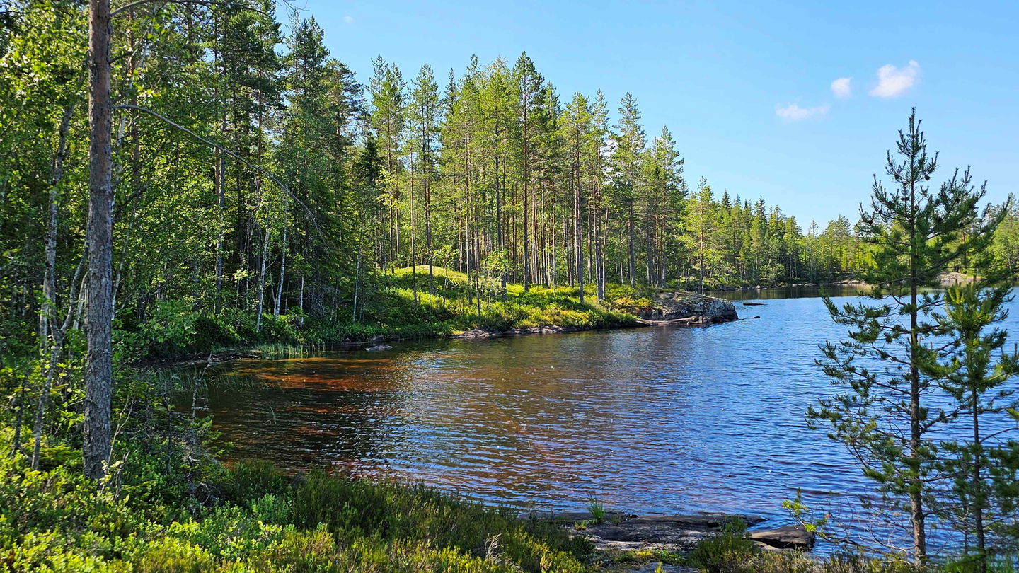 Skålsjön