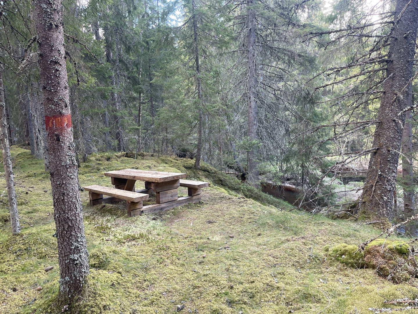 Picknickbord med bänkar.