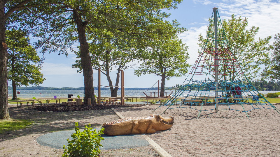 Hälsa på krokodilen