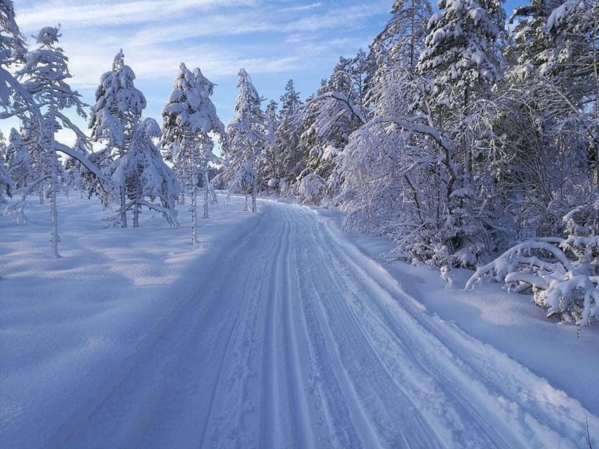 Ovansjöspåret över Stormyran