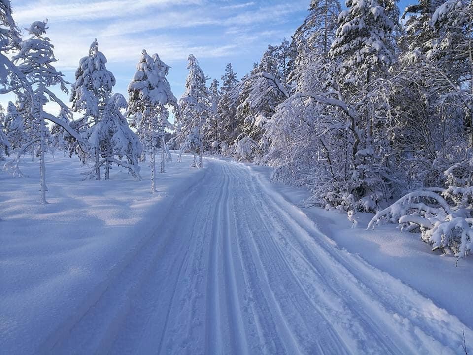 Ovansjöspåret över Stormyran