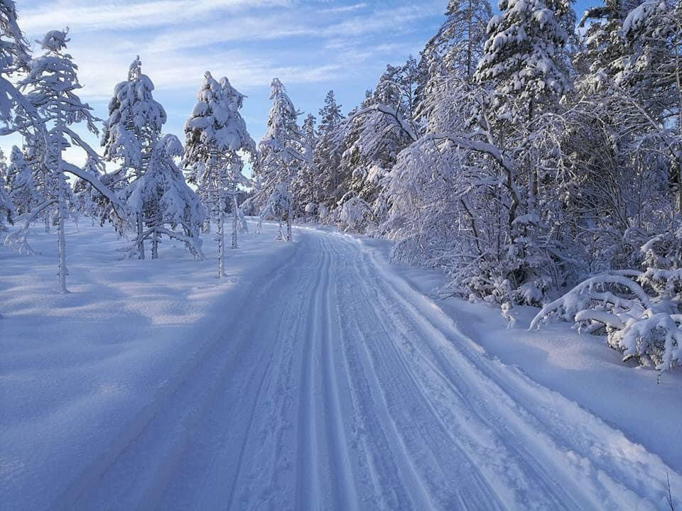 Ovansjöspåret över Stormyran