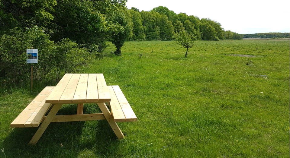 Ett picknickbord i trä som ser helt nytt ut, står på grönt gräs, några lövträd till vänster.