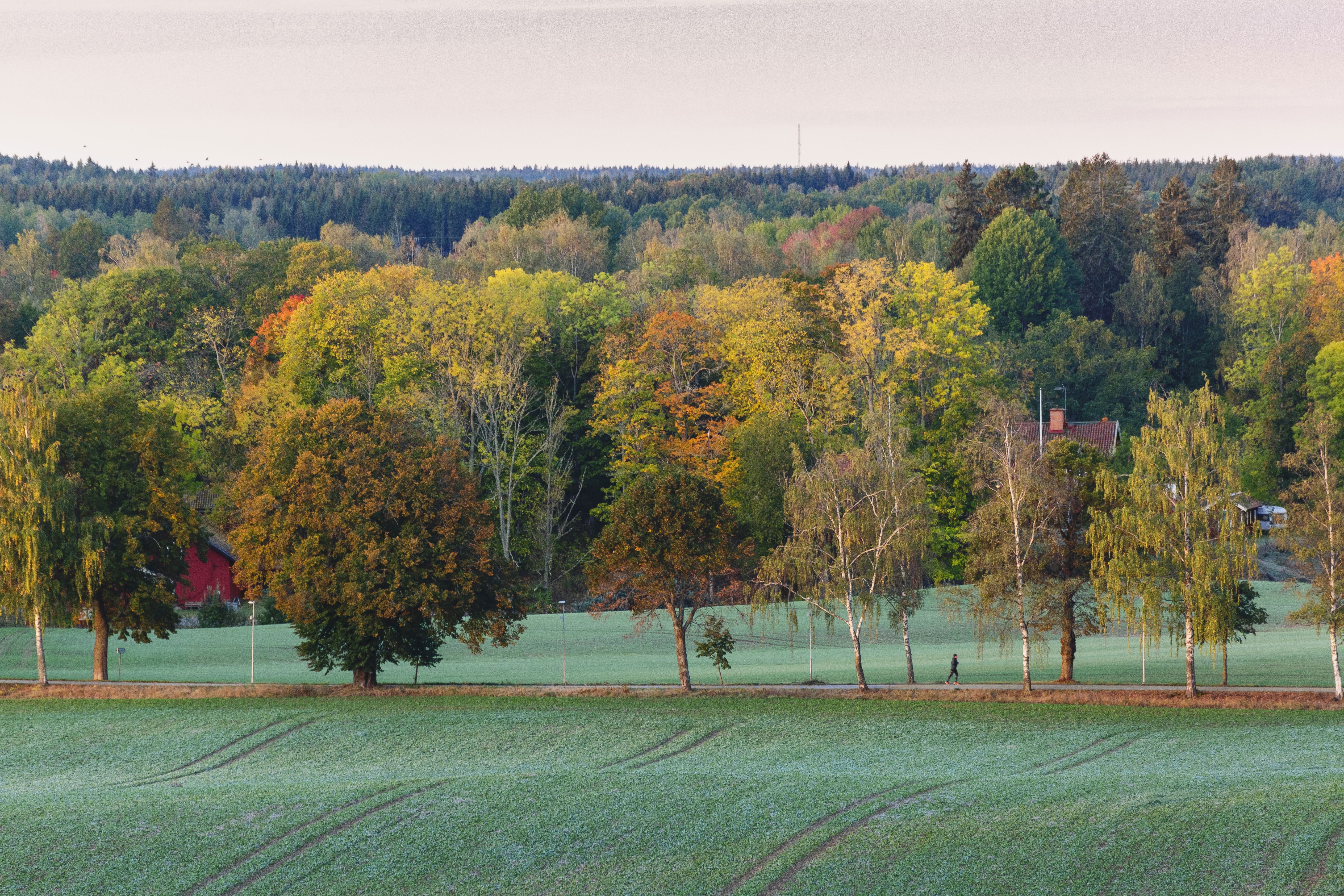 Vandringsled Djulöområdet Naturkartan