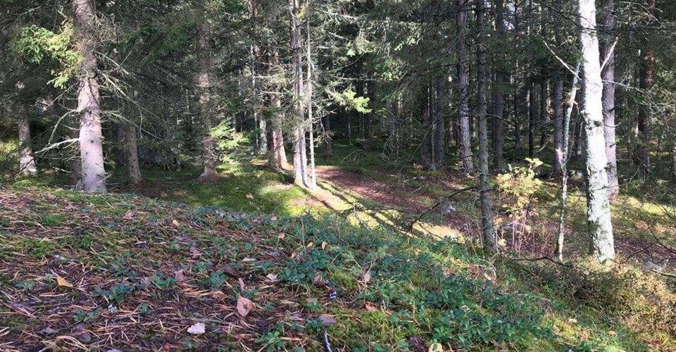 Utsikt från vindskydd  vid Bleckenstad, Mjölby