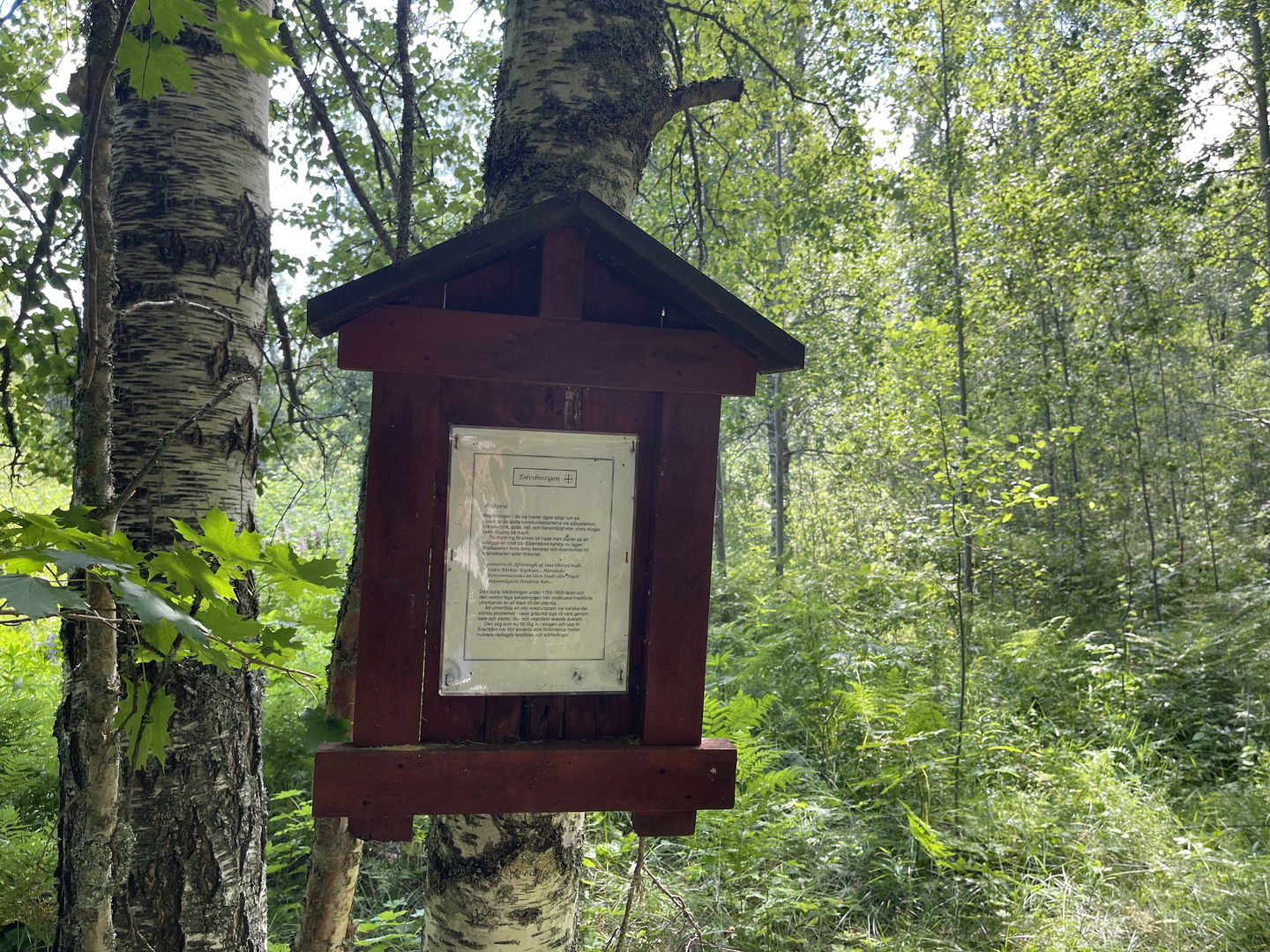 Längs med stigen