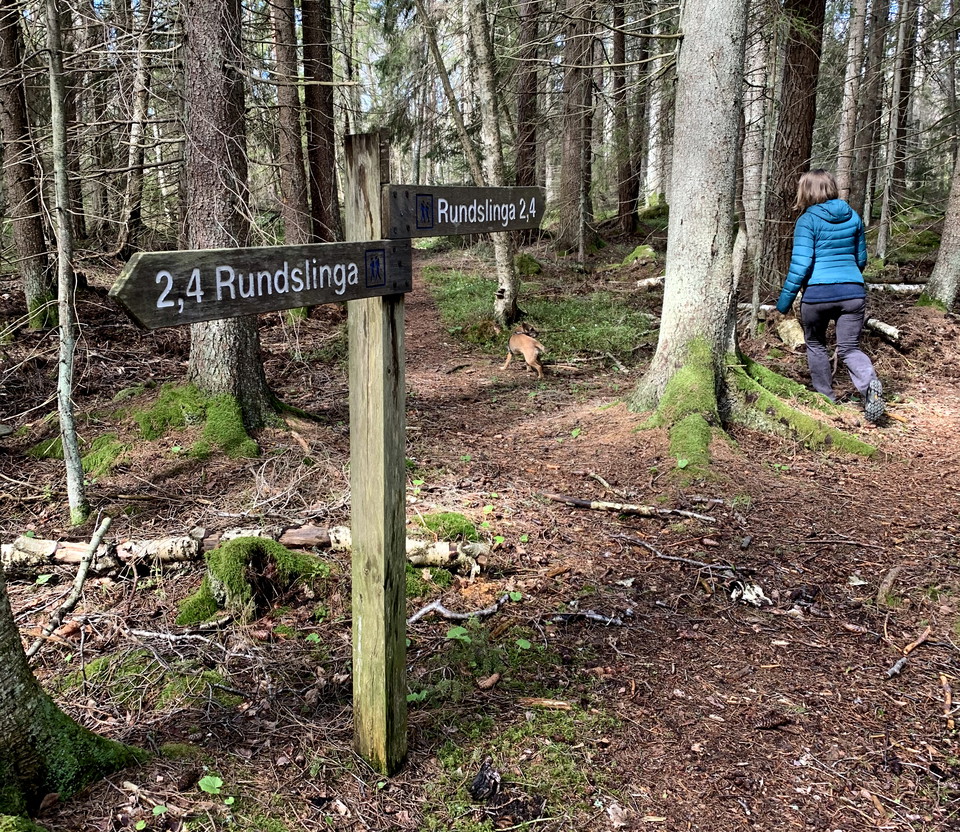 Rundslinga i Häverö-Bergby naturreservat. 
