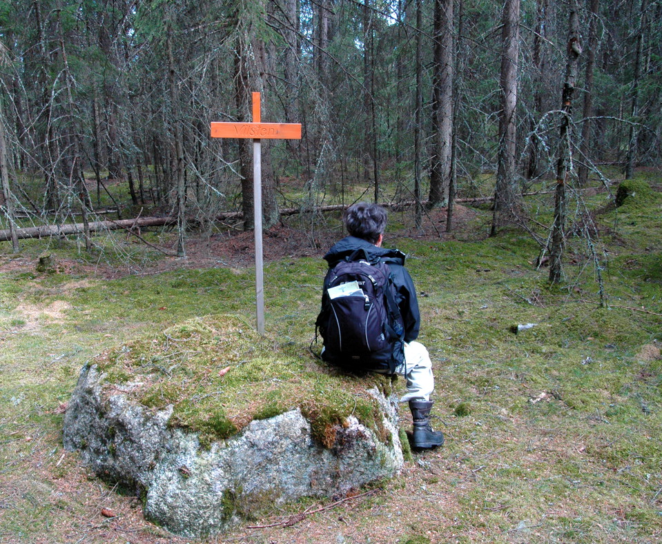 Vilsten längs vägen