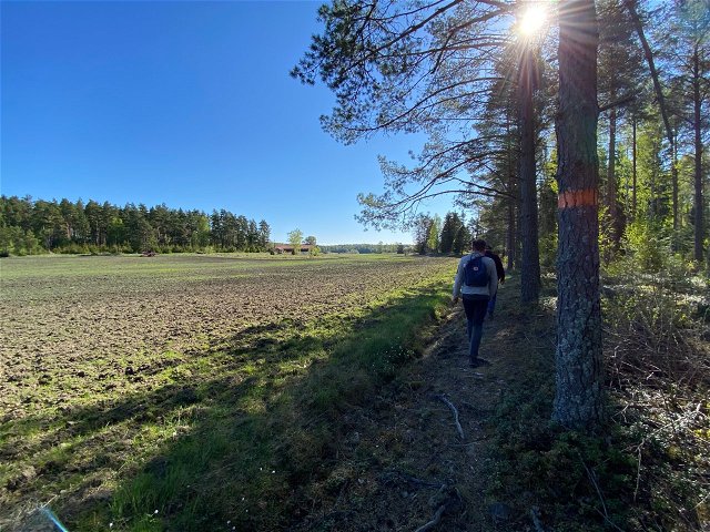 The Uppland Trail, section 23, 20 km