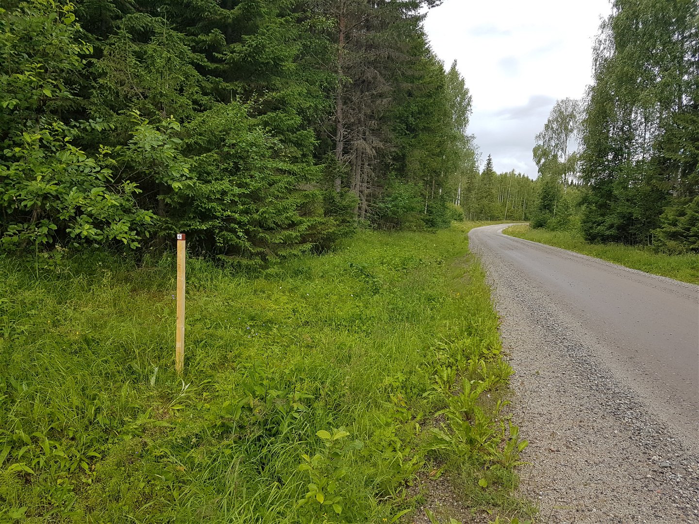 S:t Olavsleden följer långa sträckor mindre grusvägar i skogs- och kulturlandskapet 