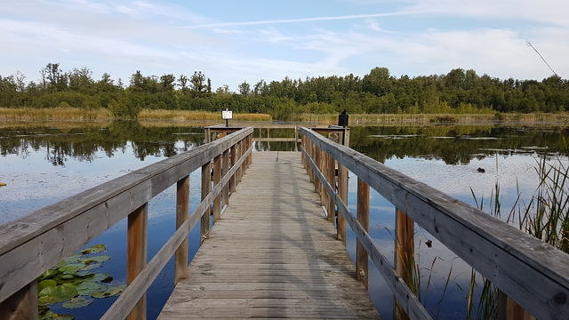 Ekebysjöns naturreservat