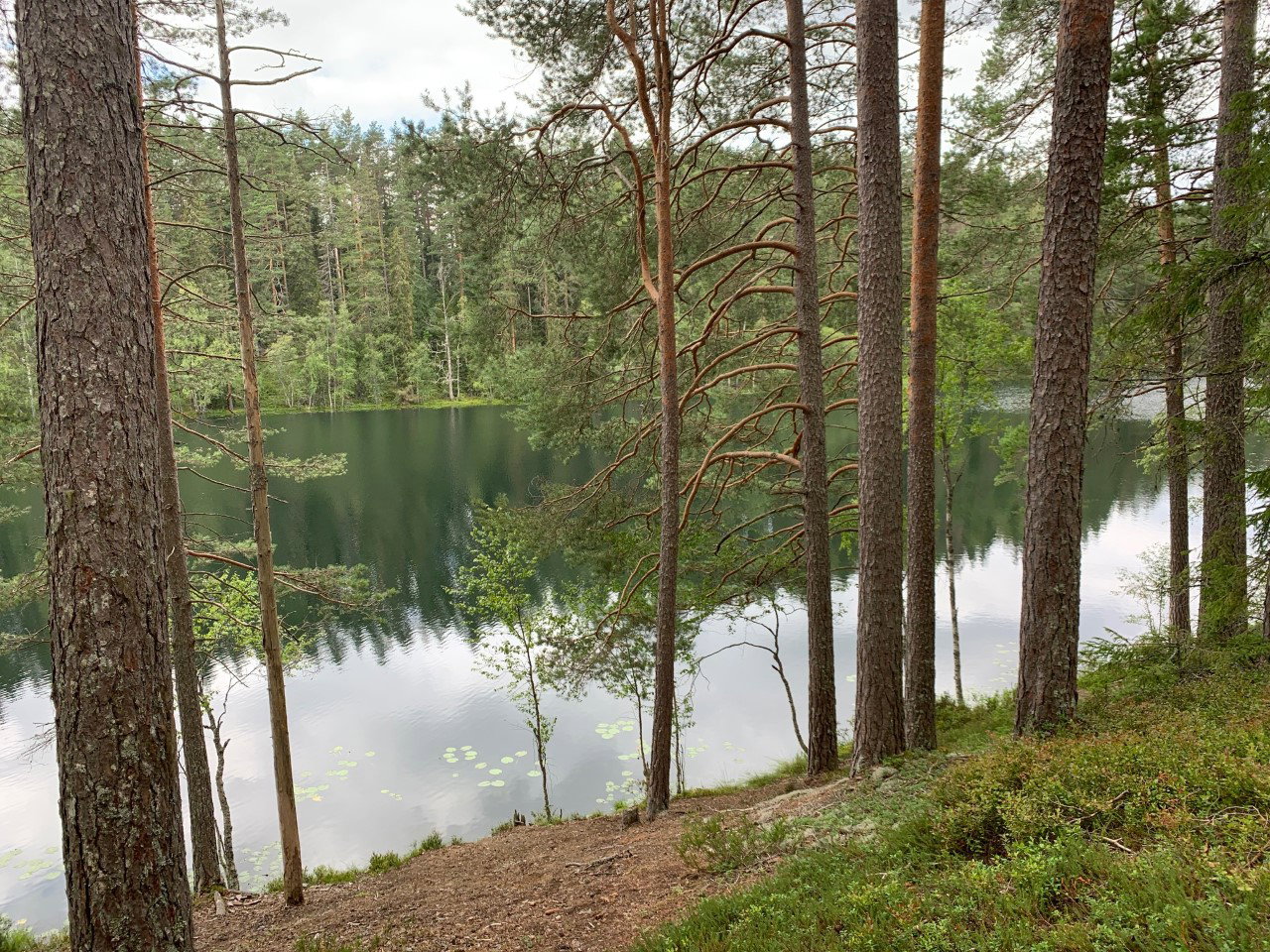 Vy över tjärnarna vid Rågåsen