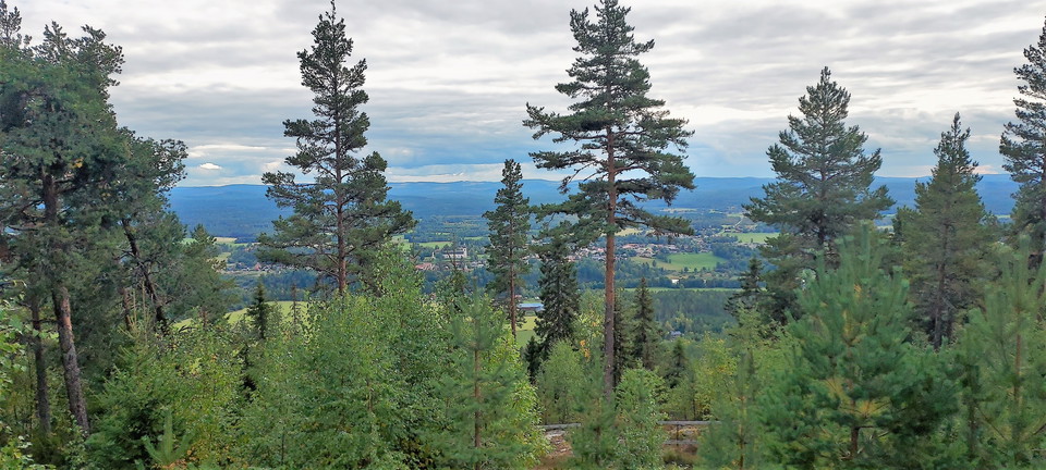 Toppleden Färila