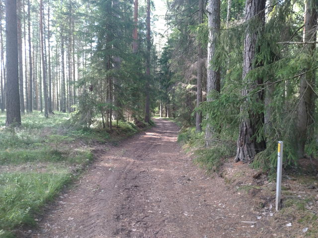 DKV2025:3 Start 09:00