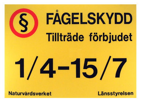 Vadholmen, Fågelskyddsområde