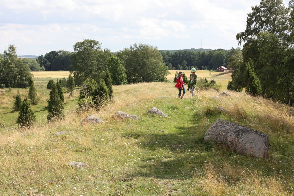 Vånsjöåsens naturreservat