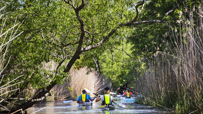 Paddling med Aktivt Uteliv