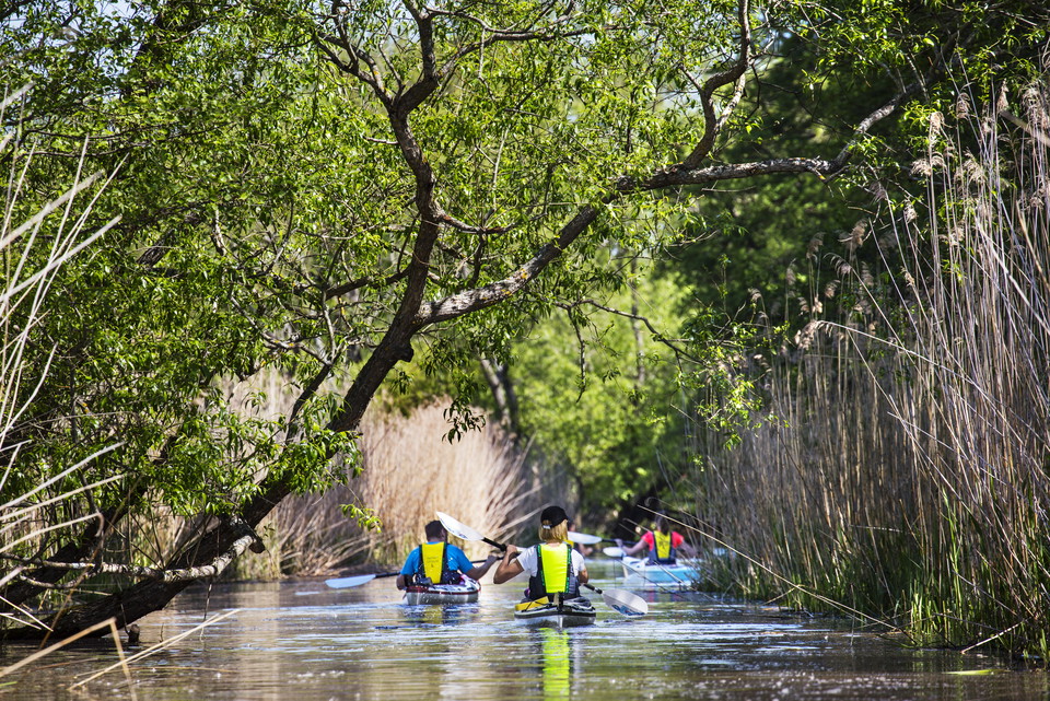 Paddling med Aktivt Uteliv