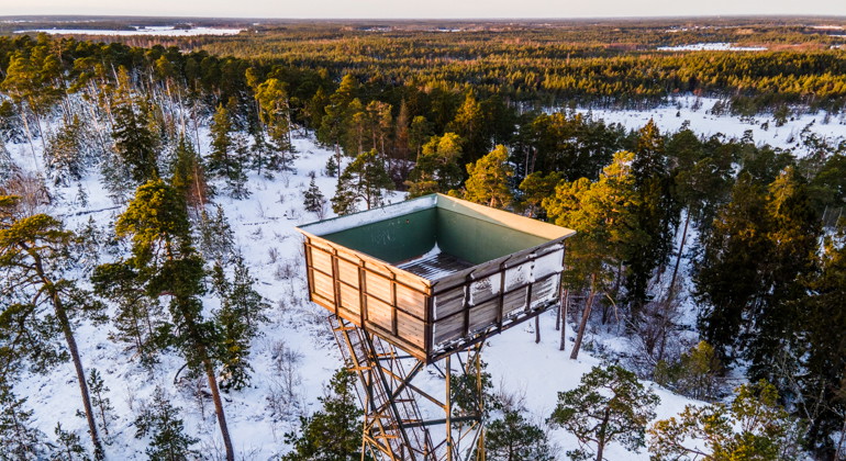 Drönarbild över ett vintrigt skogslandskap. I förgrunden syns toppen på ett utsiktstorn