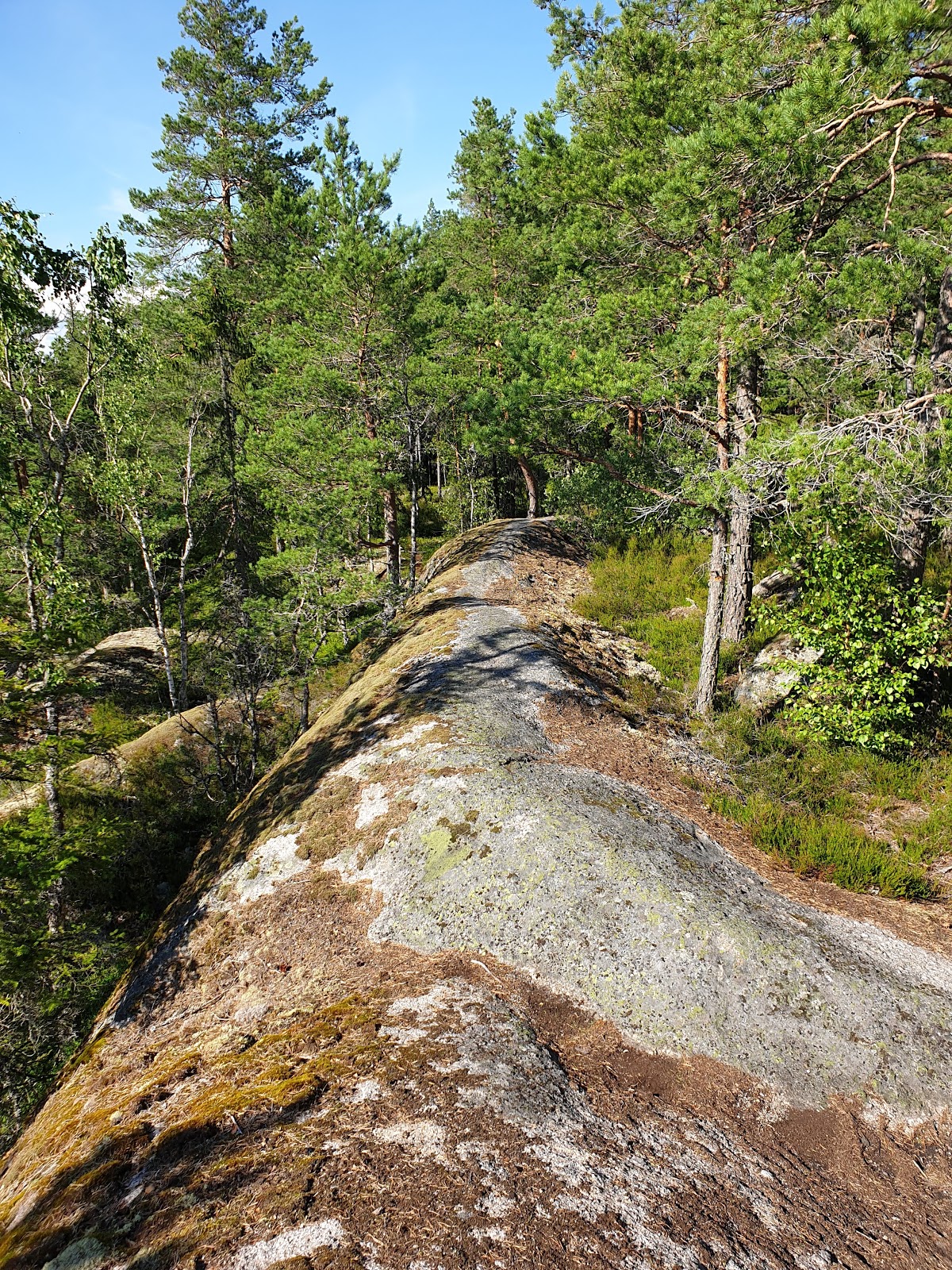 Mårsätter, Naturreservat