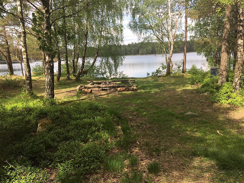 grillplats i en skog vid en sjö