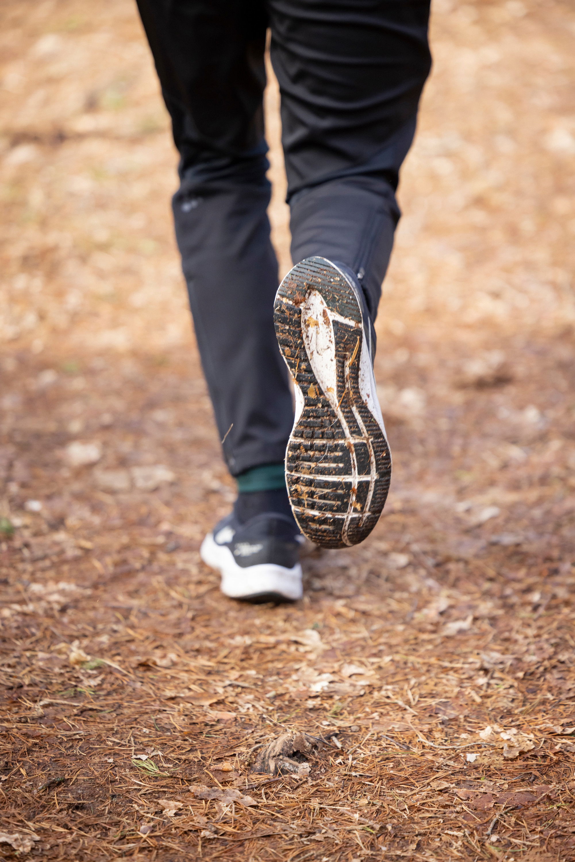 Orup strövområde, gul slinga, Höör