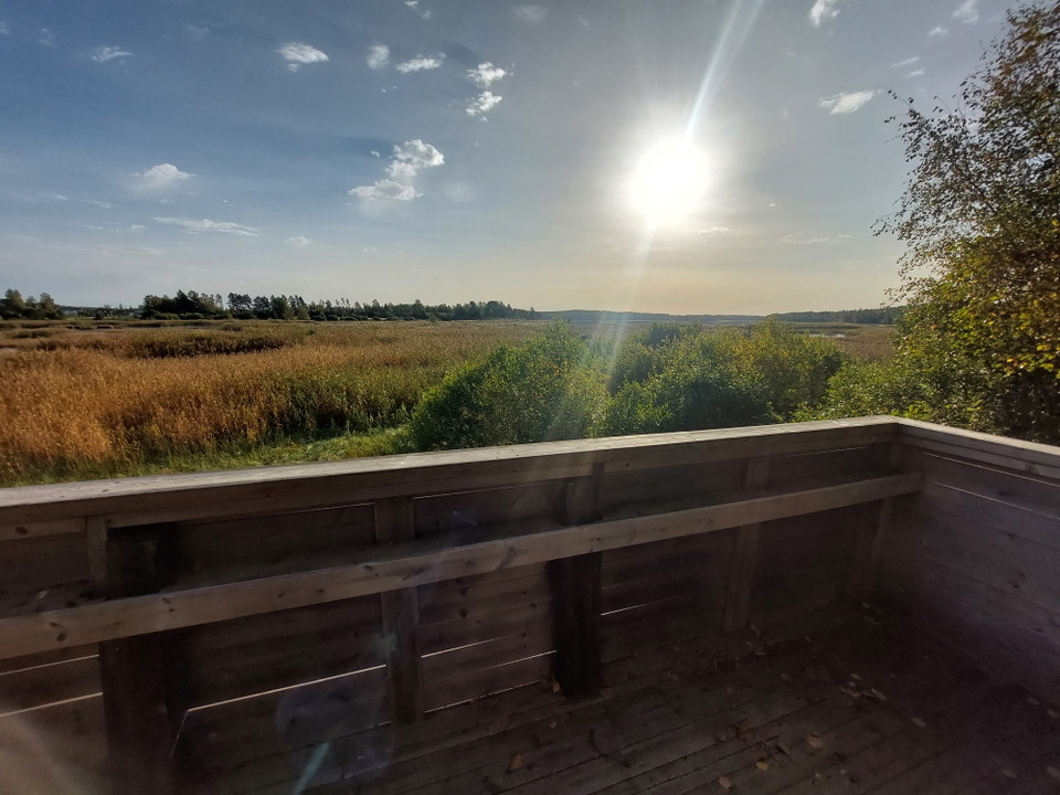 Utsikt från fågeltorn