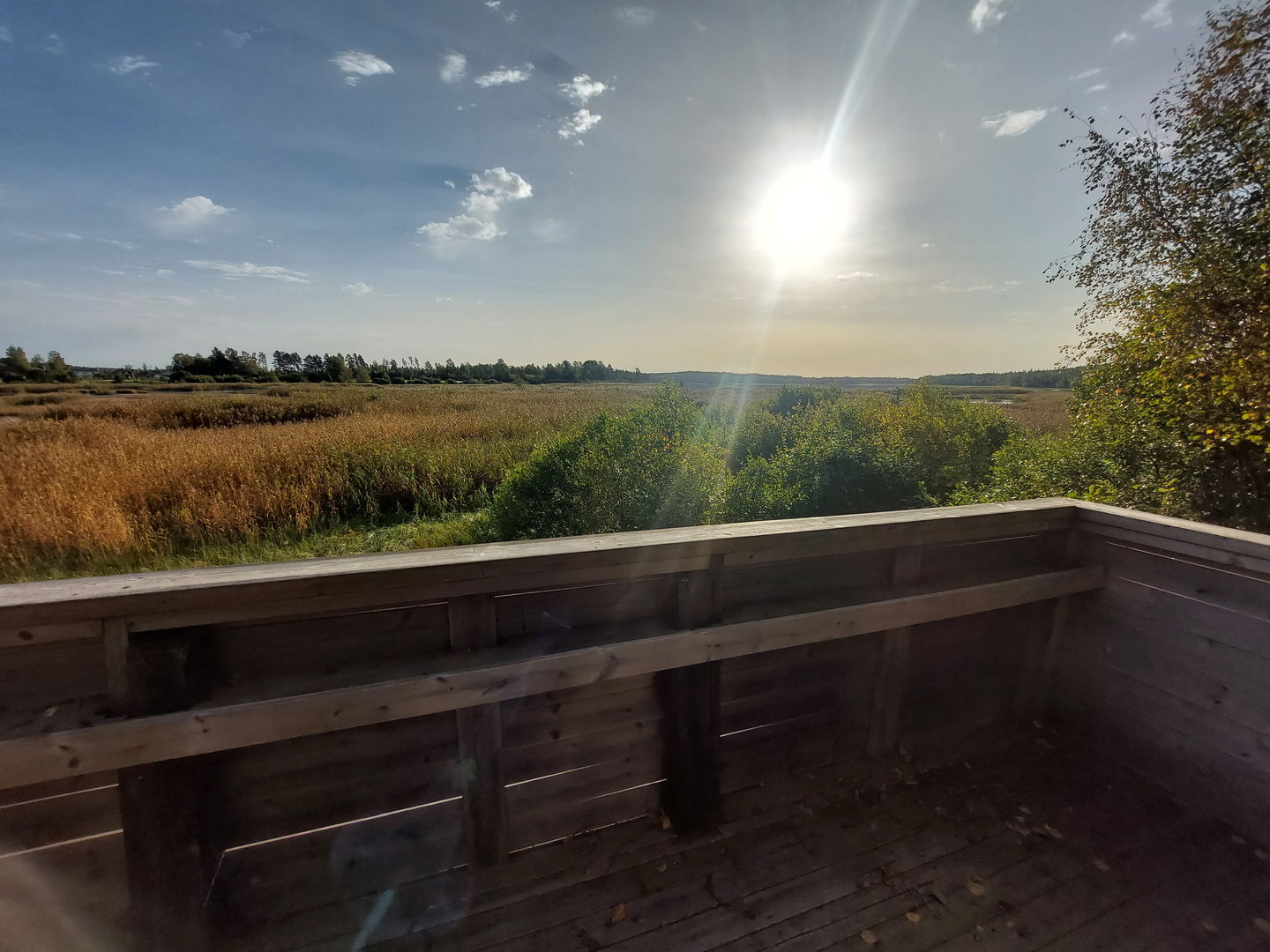 Utsikt från fågeltorn