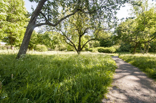 Långbro gård i Älvsjö