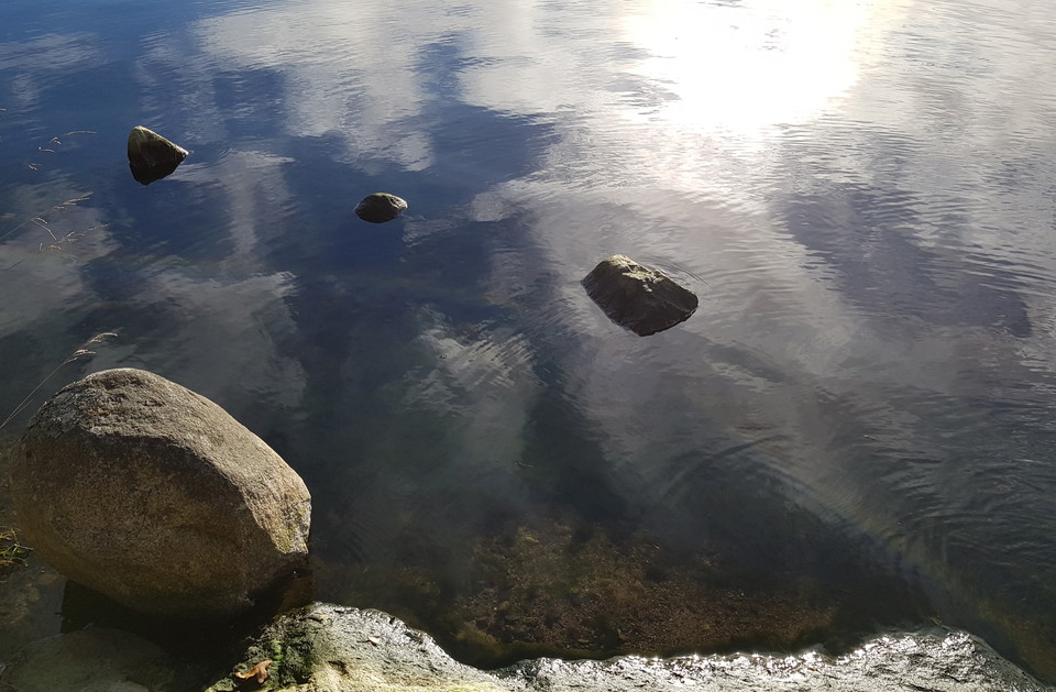 Stenar vid östra Bosöns strand. Foto Lidingö stad